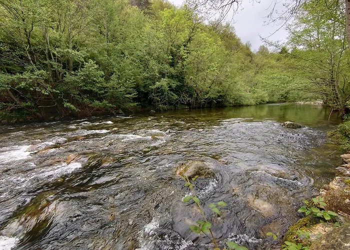 Les Egals 3* Saint-Jean-du-Bruel